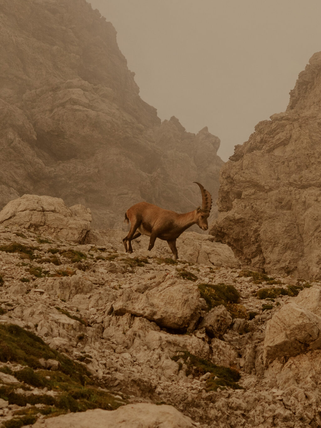 24-08-Lech-Am-Arlberg-008218